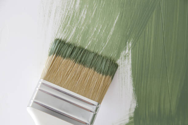 Best Residential Mold Inspection & Testing  in Canyonville, OR
