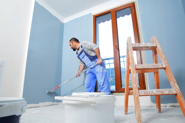Professional Mold Removal in Canyonville, OR