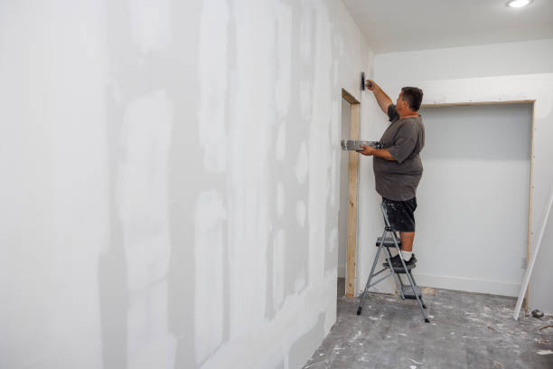 Best Mold Remediation for Healthcare Facilities  in Canyonville, OR