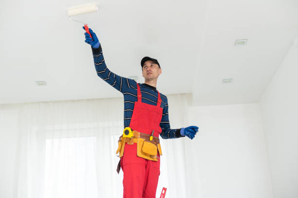 Best Residential Mold Inspection & Testing  in Canyonville, OR